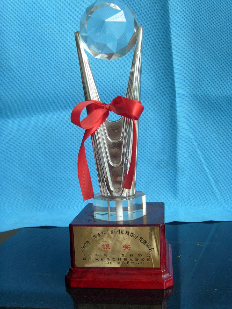2002年“华奕杯”彭州秋季兰花博览会-银奖