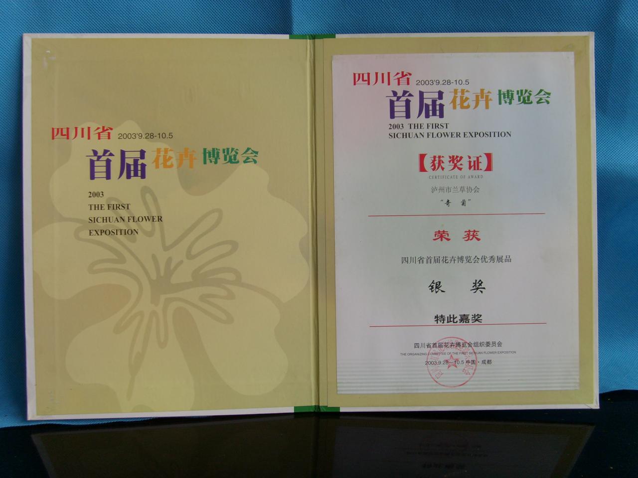 2003年四川省首届花卉博览会-奇菊-银奖