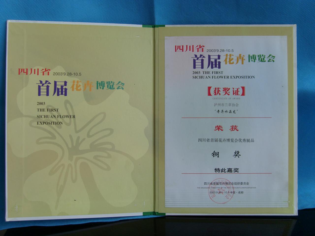 2003年四川省首届花卉博览会-奇异水晶龙-铜奖