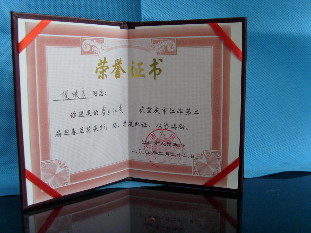 2005年重庆市江津第二届迎春兰花展-春兰红素-铜奖