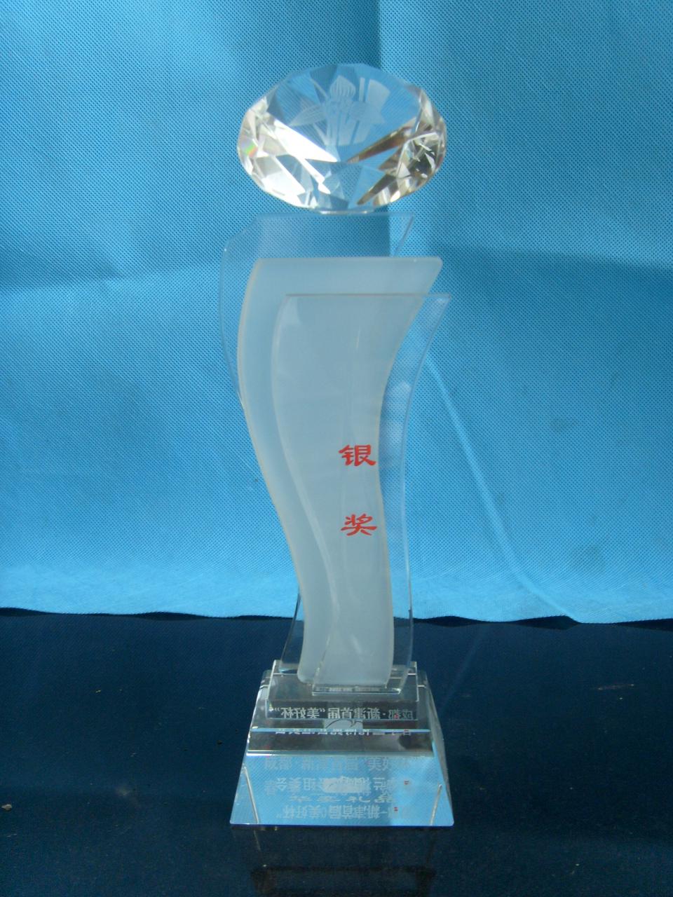 2006年成都-新津首届“美好杯”春季兰博会-银奖