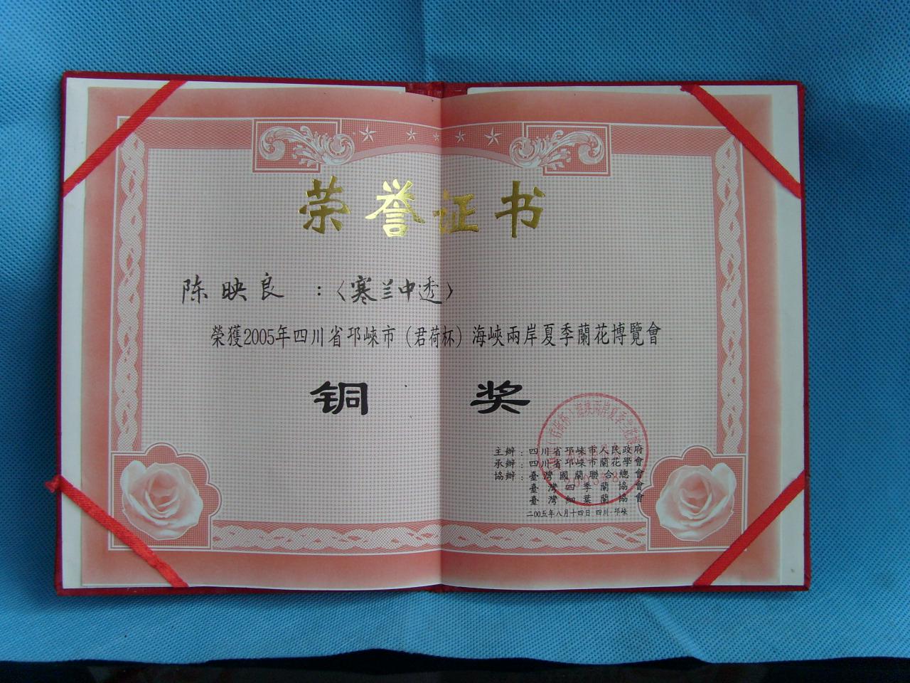2006年四川省邛崃市（君荷）海峡两岸夏季兰花博览会-寒兰中透-铜奖