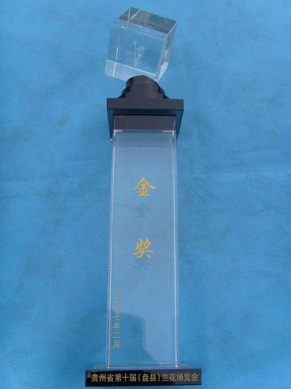 2007年贵州省第十届（盘县）兰花博览会-金奖