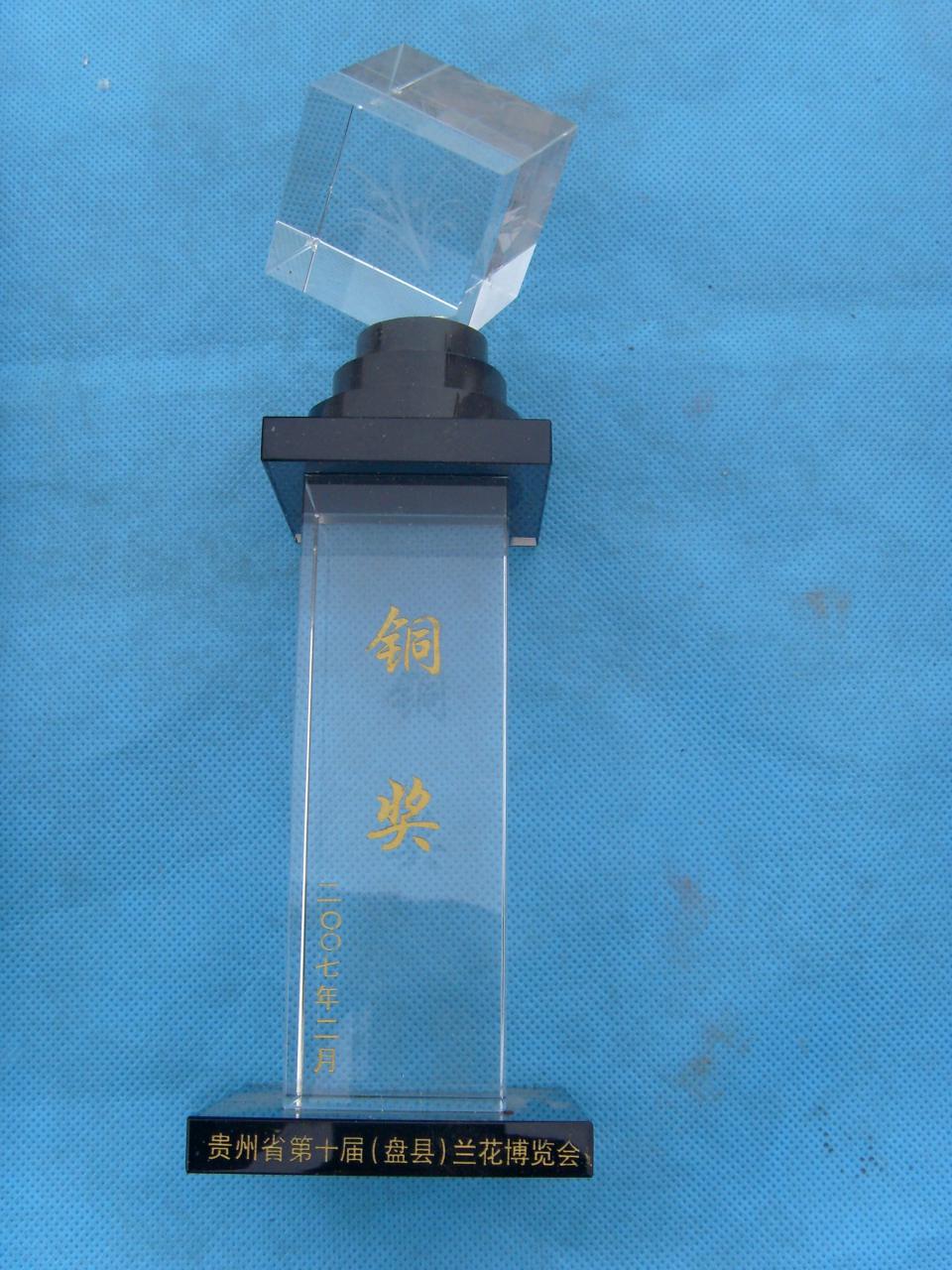 2007年贵州省第十届（盘县）兰花博览会-铜奖