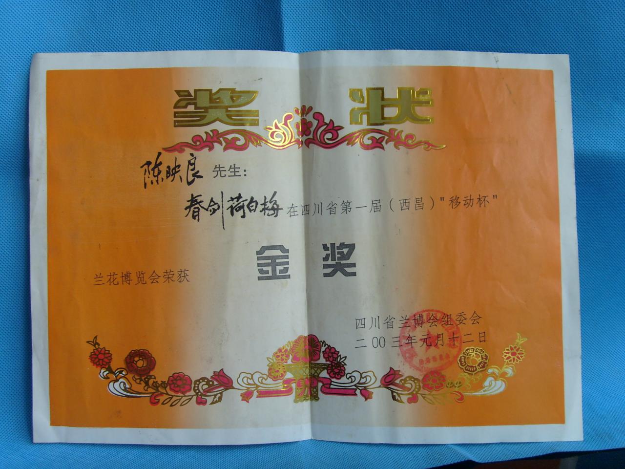 2003四川省第一届西昌“移动杯”兰花博览会-春剑荷白梅-金奖