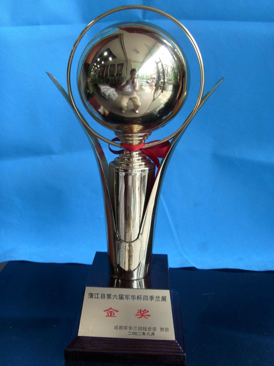 2002年蒲江县第六届军华杯四季兰展-金奖