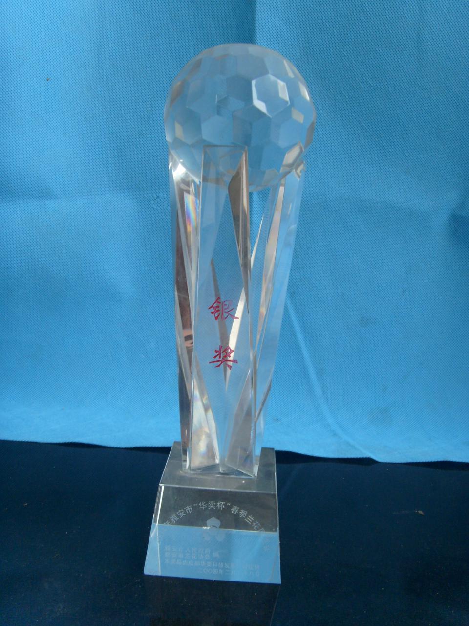 2004年雅安市“华奕杯”春季兰花博览会-银奖