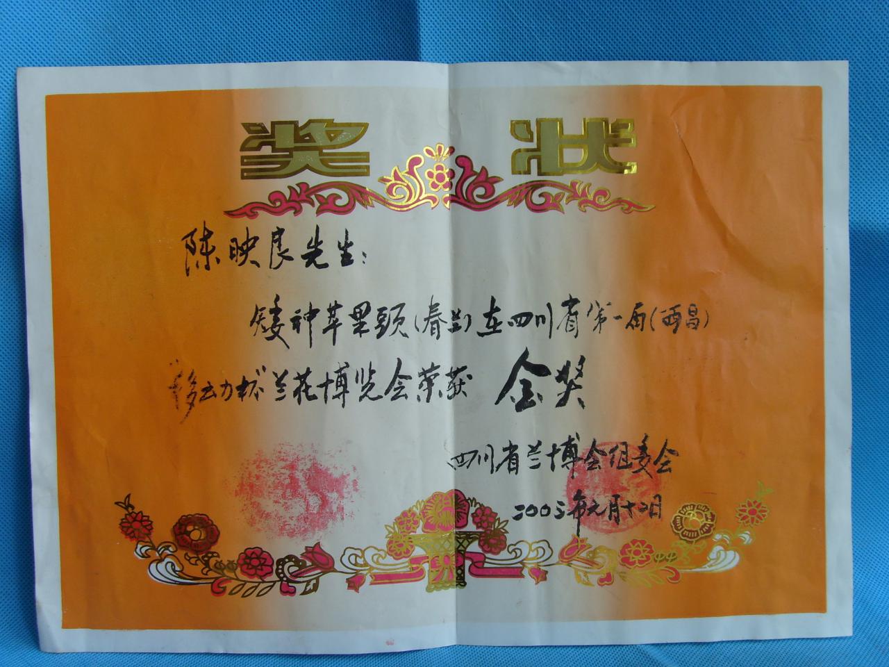 2003四川省第一届西昌“移动杯”兰花博览会-春兰矮种苹果头-金奖