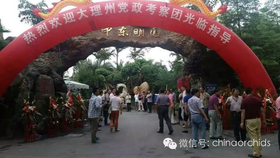中国（大理）第26届兰花博览会招展团中国兰花博览园之行