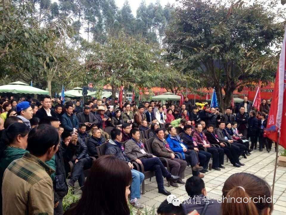 2015▪三圣乡首届”潭酒杯“春季兰花精品展获奖名单公布