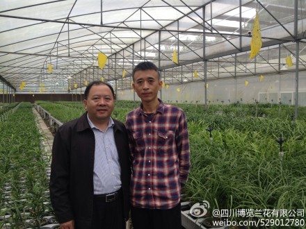 2013年10月22号中国兰协会长来园区参观指导