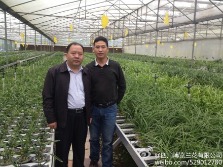 2013年10月22号中国兰协会长来园区参观指导