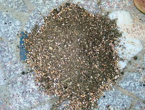 秦岭春兰栽培技术