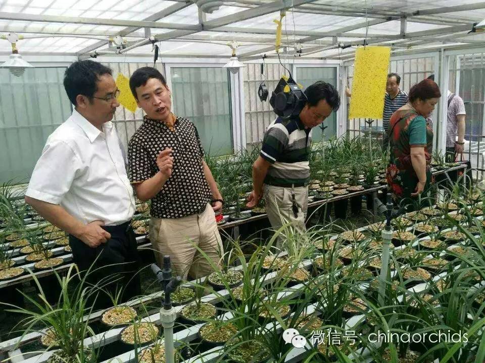 中国(大理)第26届兰花博览会招展团中国兰花博览园之行