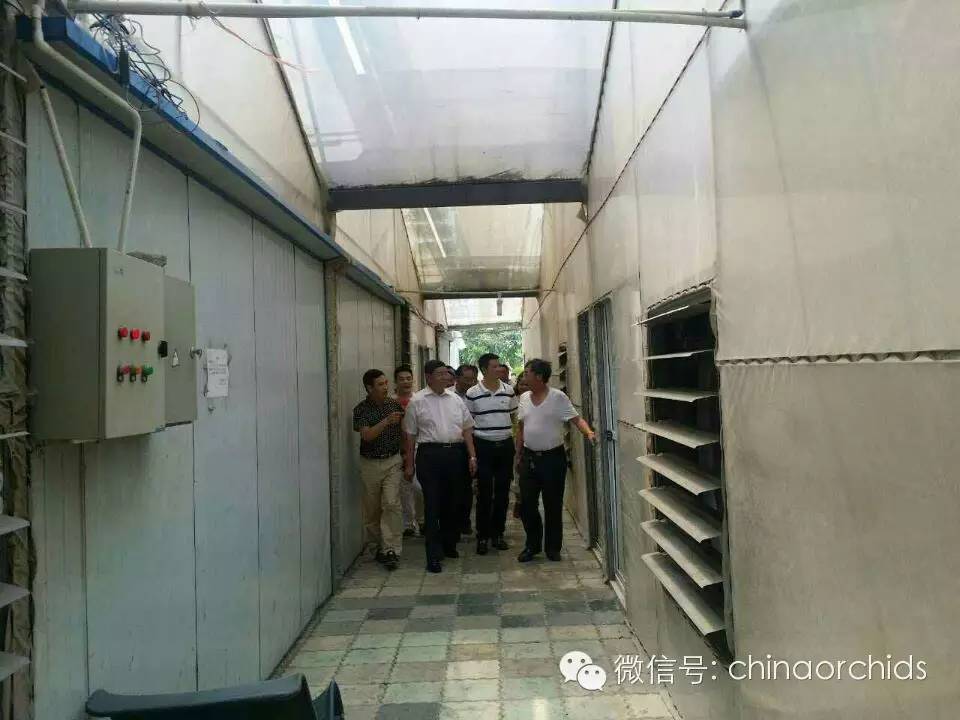 中国(大理)第26届兰花博览会招展团中国兰花博览园之行