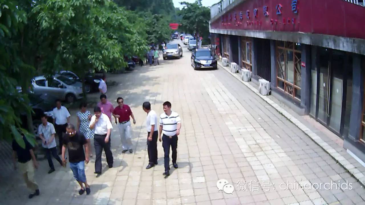 中国(大理)第26届兰花博览会招展团中国兰花博览园之行