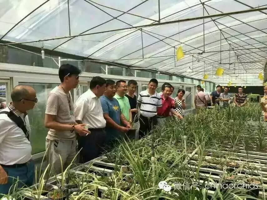 中国(大理)第26届兰花博览会招展团中国兰花��览园之行