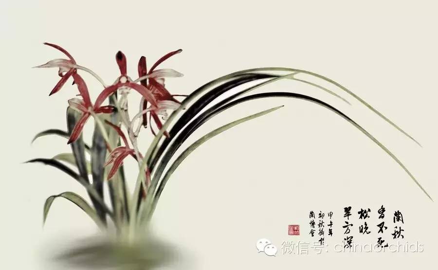 兰花知识讲座,每周五免费试听