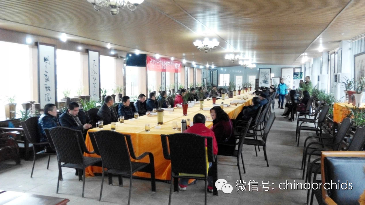 兰花知识讲座,每周五免费试听